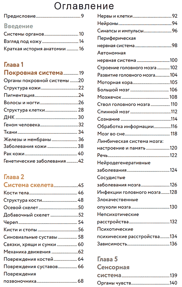 Анатомия человека. Визуальный гид