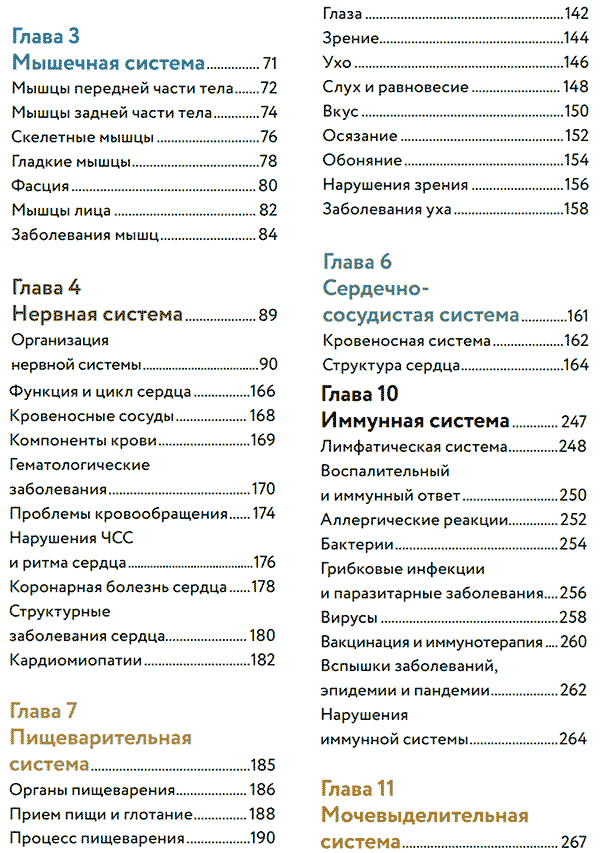 Анатомия человека. Визуальный гид