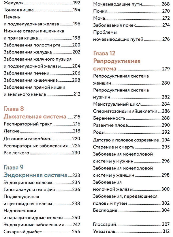 Анатомия человека. Визуальный гид