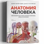 Анатомия человека. Визуальный гид